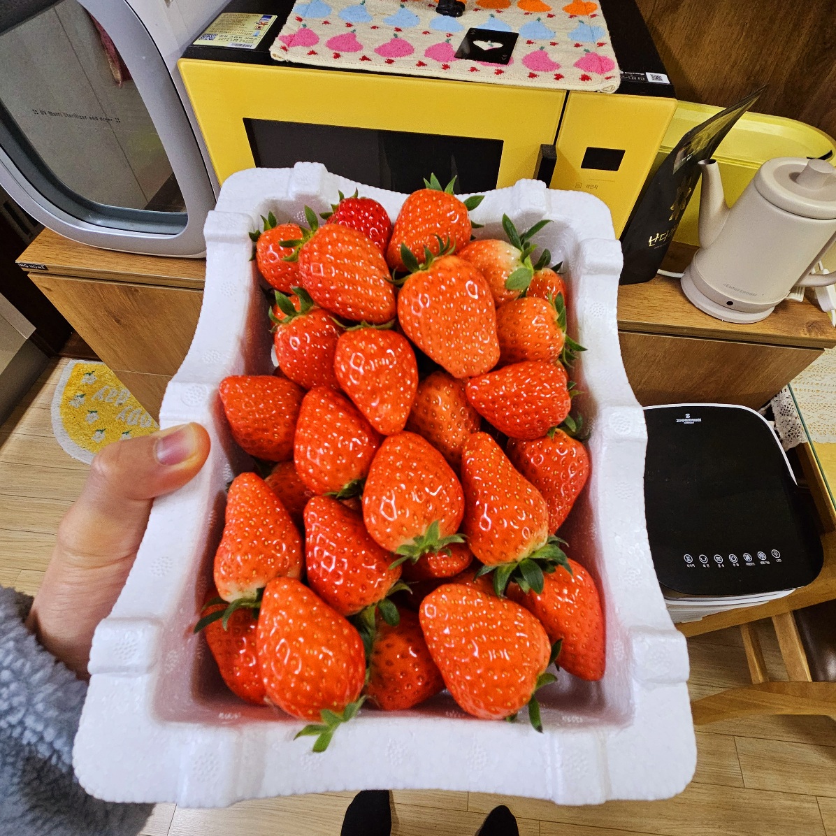 딸기 종류 설향.매향.죽향.금실