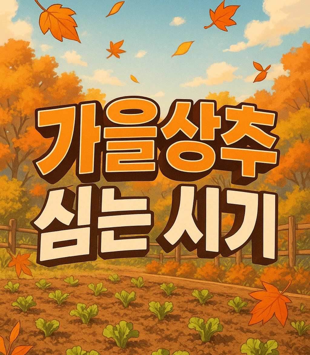 가을상추 심는시기 씨앗 파종 방법과 모종 정식 시기, 텃밭 재배법과 수확 시기를 알려주는 이미지