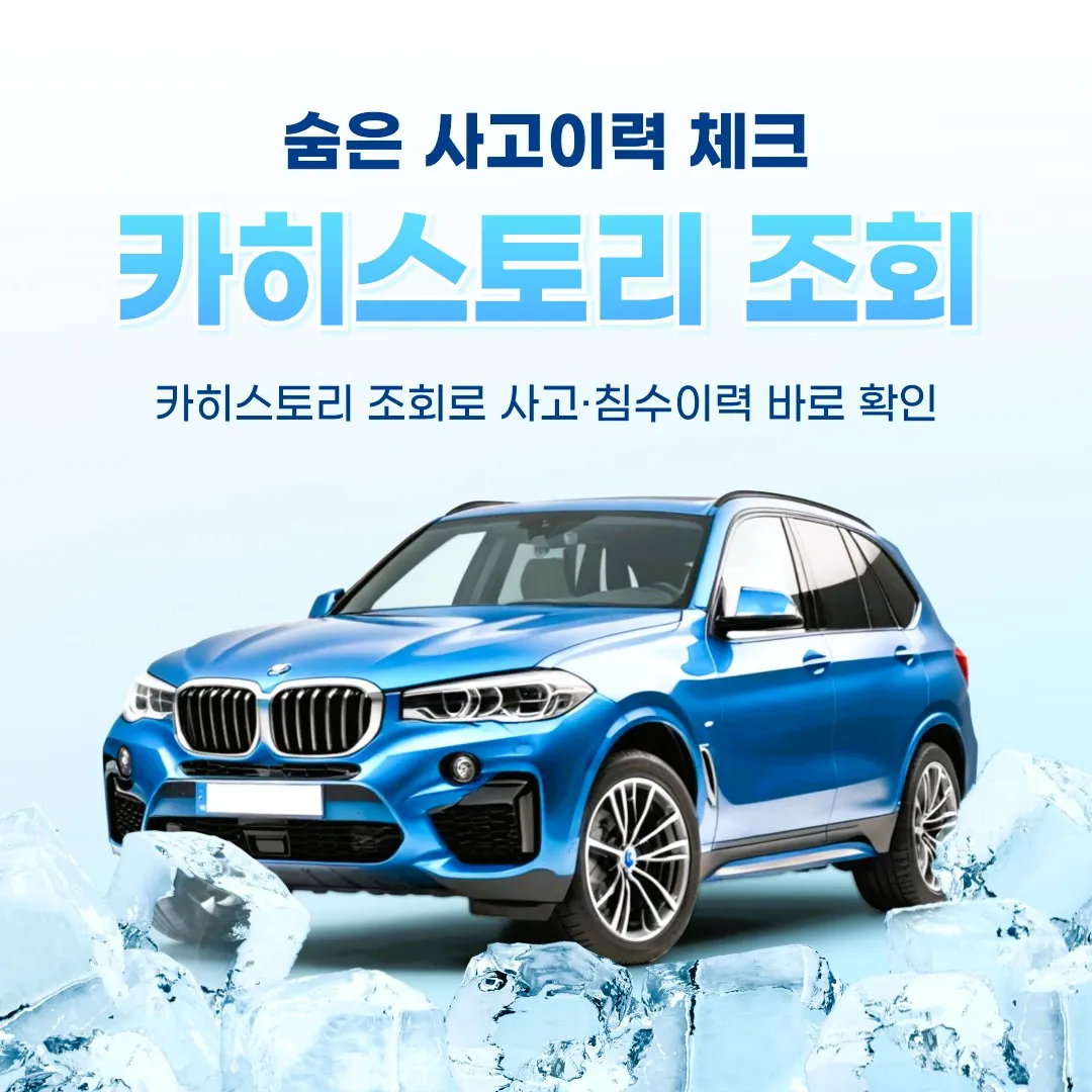 카히스토리 조회 화면 예시 – 중고차 사고이력과 침수이력 확인, 무료·유료 조회 차이 설명 이미지