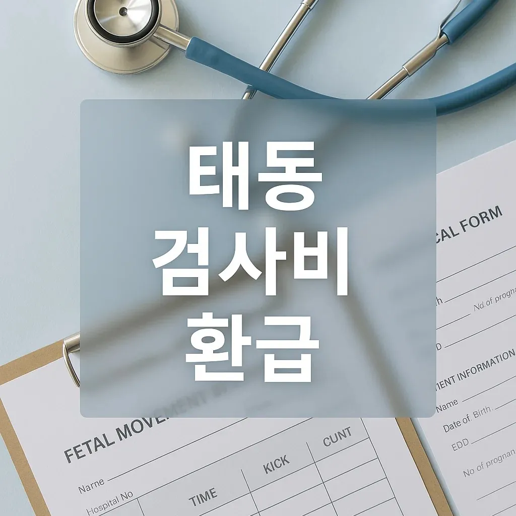 태동 검사비 환급 신청 방법과 필요한 서류를 정리한 의료 서류 이미지 — 비급여 진료비 환급 및 건강보험 환급 절차 안내