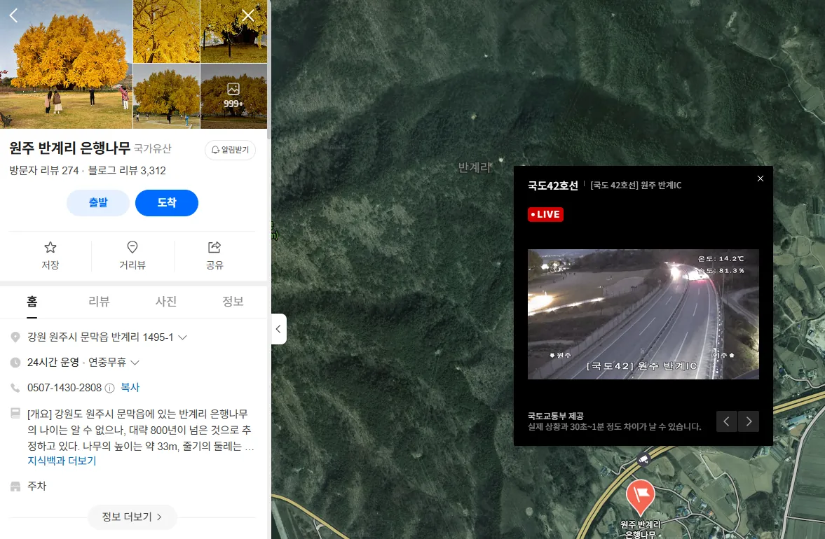 원주 반계리 은행나무 CCTV 위치 지도 화면, 국도42호선 원주 반계IC 인근 도로 실시간 영상 캡처