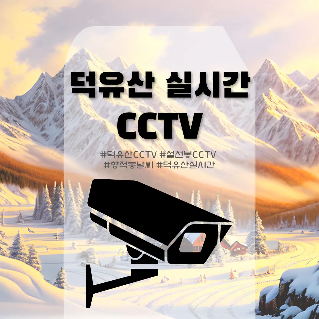 덕유산 CCTV 실시간 이미지, 설천봉 CCTV 기준 향적봉 정상 날씨 확인