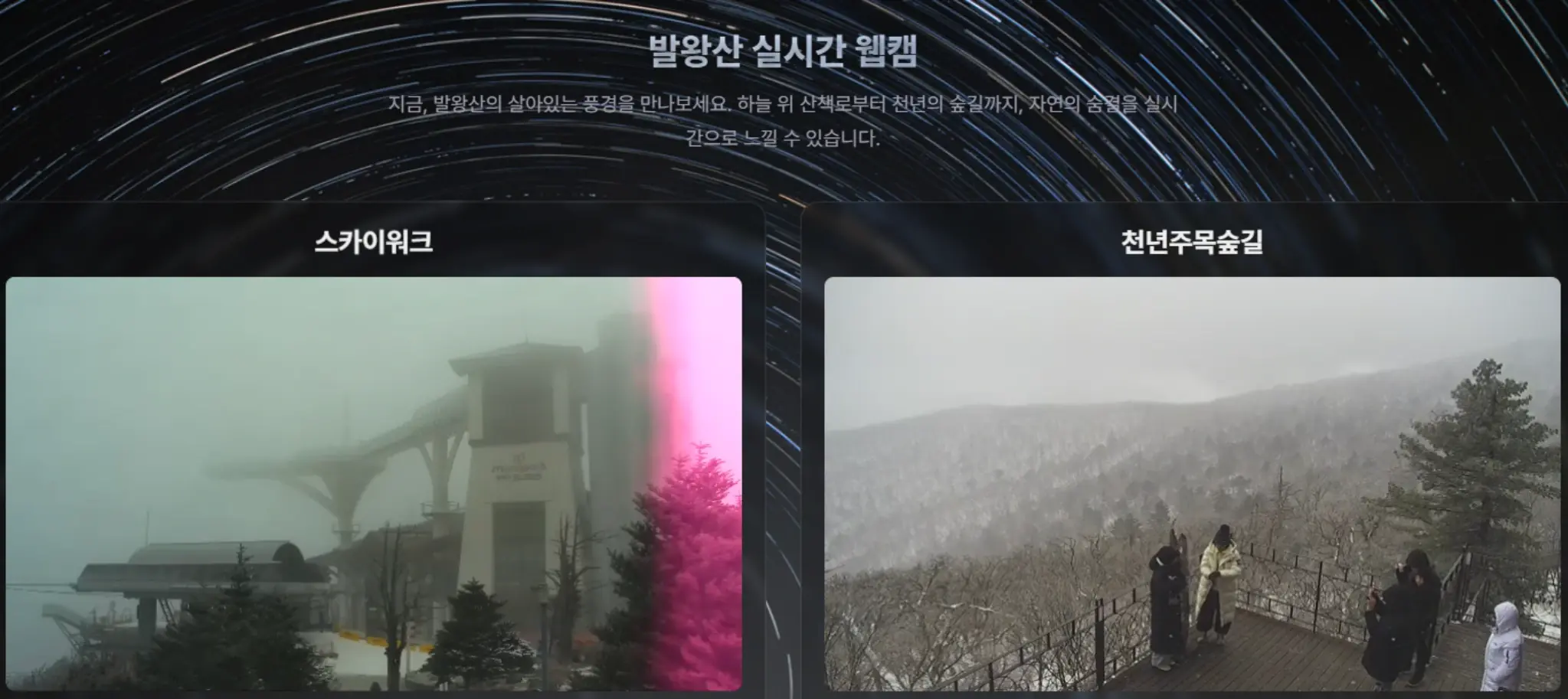 발왕산 CCTV 실시간 화면으로 본 용평리조트 케이블카 상부와 정상부 시야