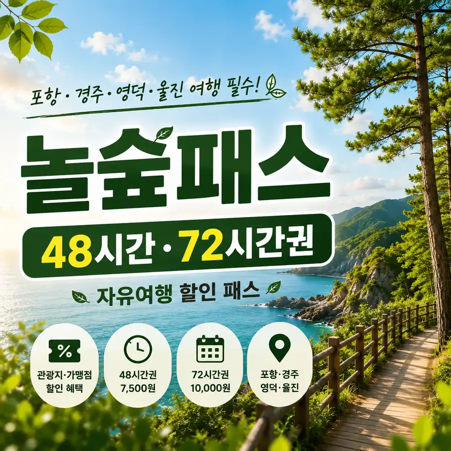 놀숲패스 가격과 48시간·72시간 이용권 안내
